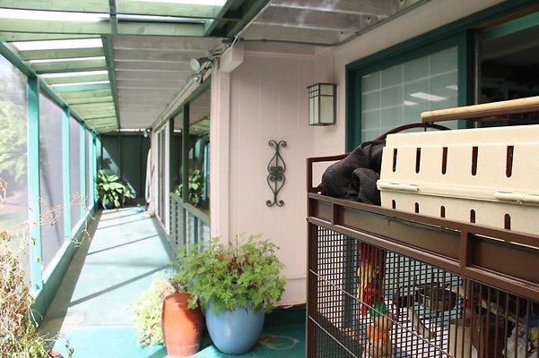 hi50 IMG 2074 hi50 IMG 2074