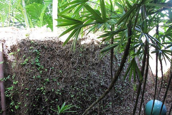 hi50 IMG 2097 hi50 IMG 2097