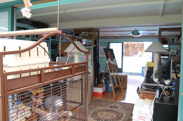 hi50 IMG 2075 hi50 IMG 2075