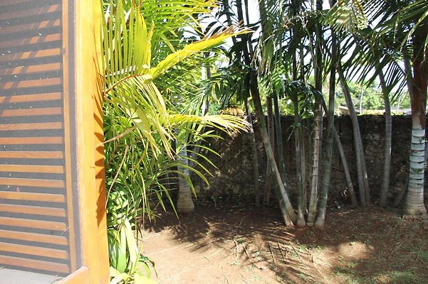 hi50 IMG 2089 hi50 IMG 2089