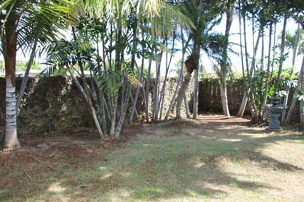 hi50 IMG 2090 hi50 IMG 2090