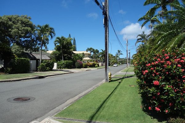 th DSC01665 th DSC01665