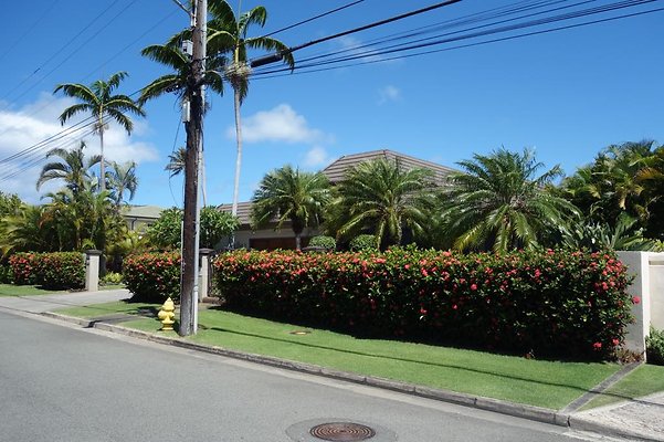 th DSC01660 th DSC01660