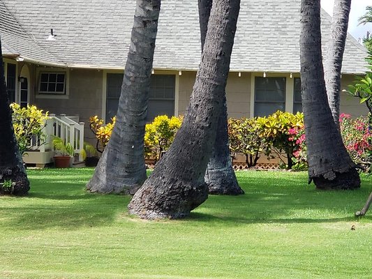 th 20181023 131957 th 20181023 131957