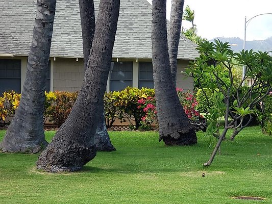 th 20181023 132110 th 20181023 132110