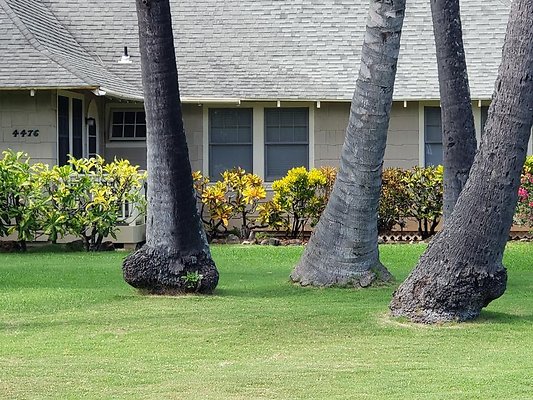 th 20181023 132100 th 20181023 132100