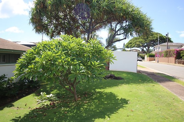 th IMG 0917 th IMG 0917