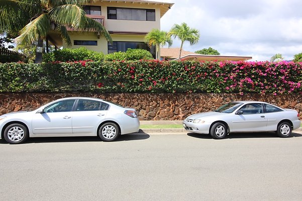 th IMG 0919 th IMG 0919