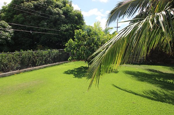 th IMG 0931 th IMG 0931