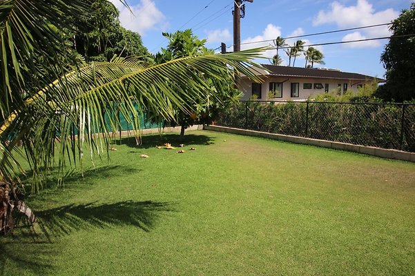 th IMG 0929 th IMG 0929