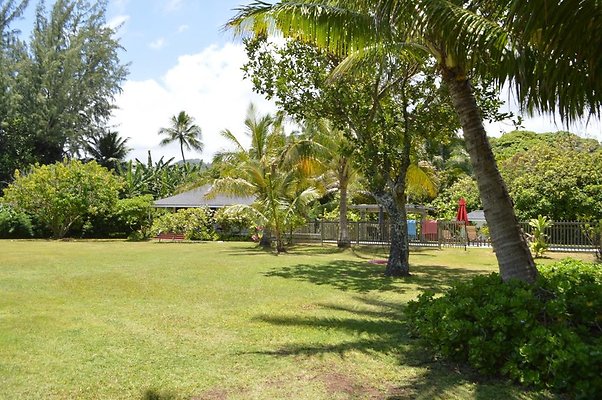 th DSC 0791 th DSC 0791