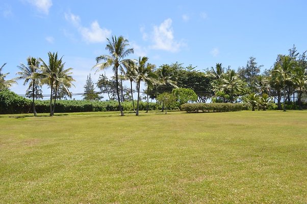 th DSC 0794 th DSC 0794