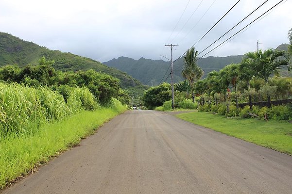 th IMG 1508 th IMG 1508