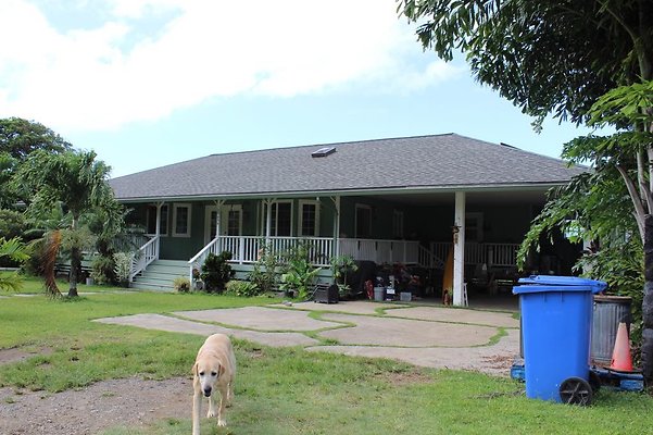 th IMG 1474 th IMG 1474