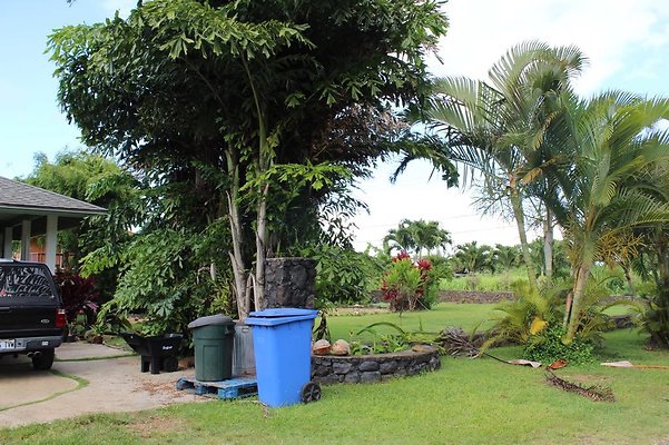 th IMG 1505 th IMG 1505