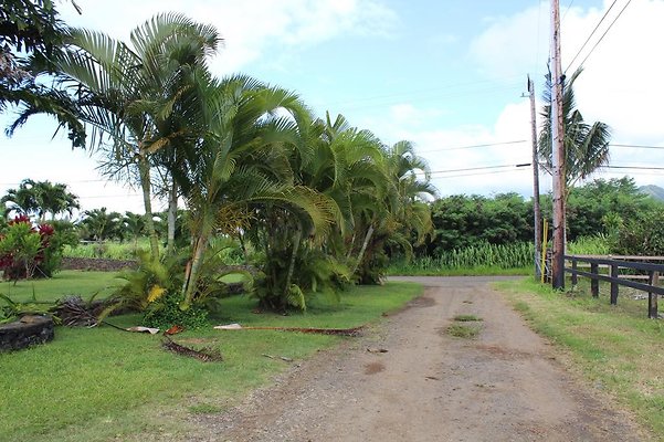 th IMG 1506 th IMG 1506