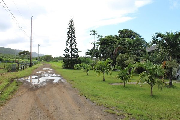 th IMG 1503 th IMG 1503