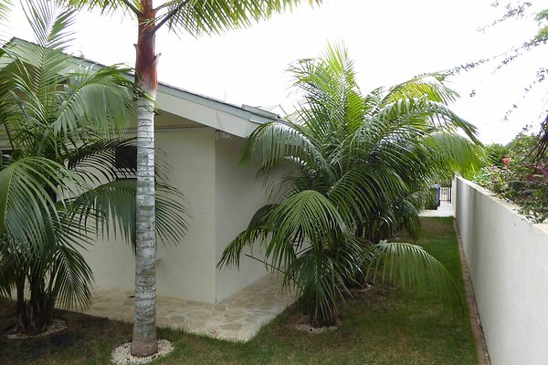 Left Side of Property From Back Yard Left Side of Property From Back Yard