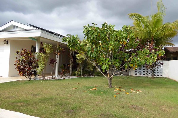 Front Lawn Front Lawn