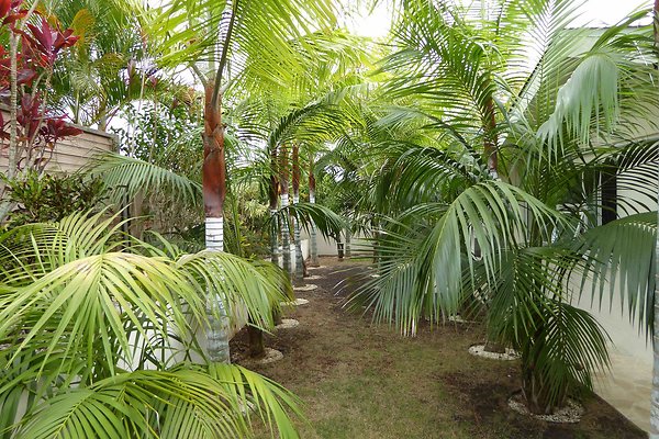 Back Yard 2 Back Yard 2