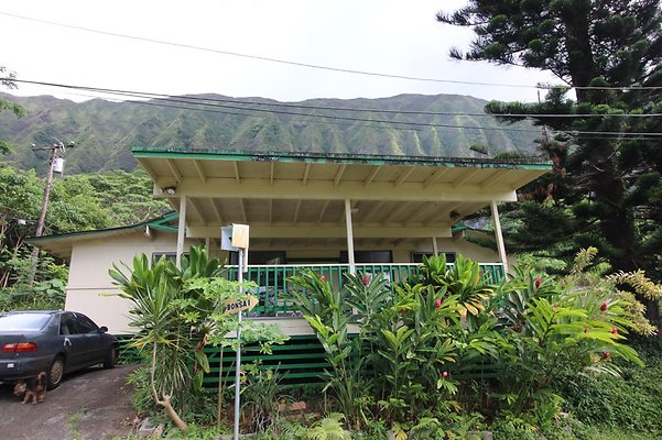 th IMG 4501 th IMG 4501