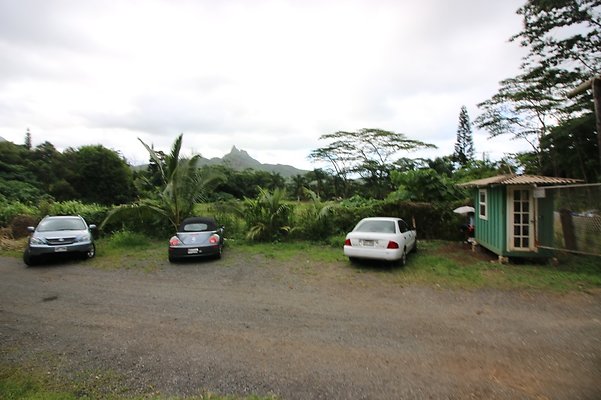 th IMG 4522 th IMG 4522