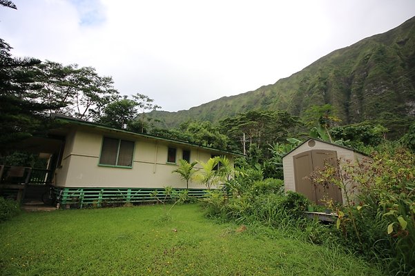 th IMG 4525 th IMG 4525