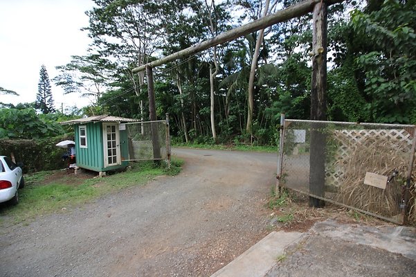 th IMG 4523 th IMG 4523