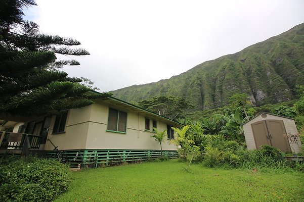 th IMG 4524 th IMG 4524