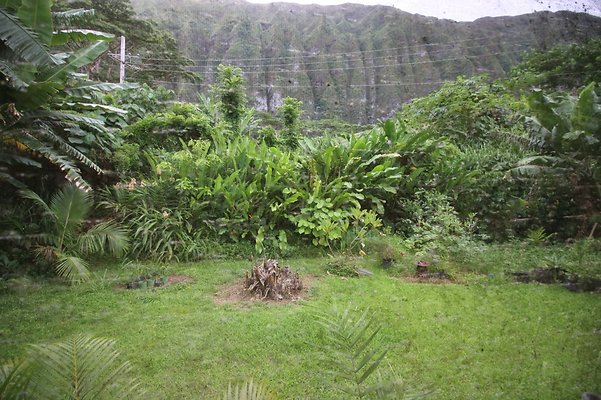 th IMG 4511 th IMG 4511