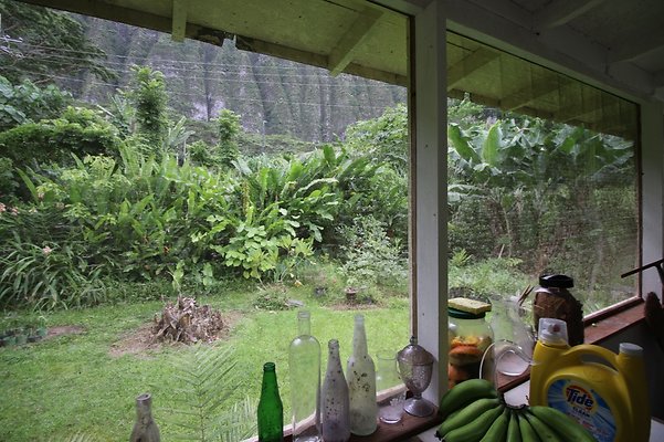 th IMG 4510 th IMG 4510