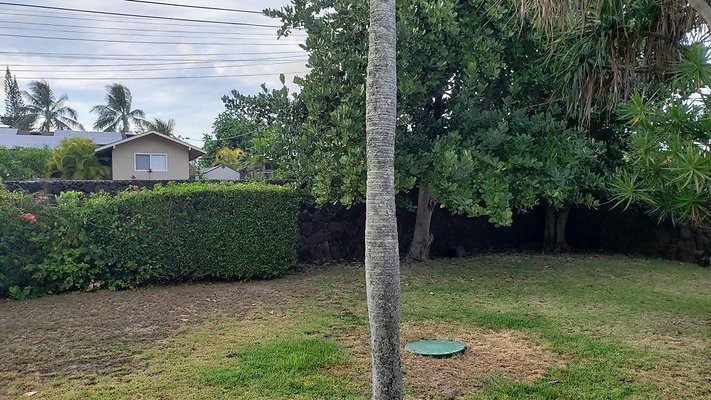 th 20190619 182046 th 20190619 182046