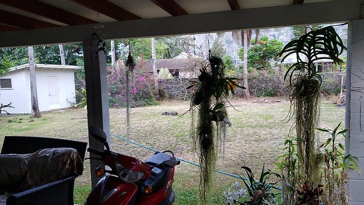 th 20190619 181732 th 20190619 181732