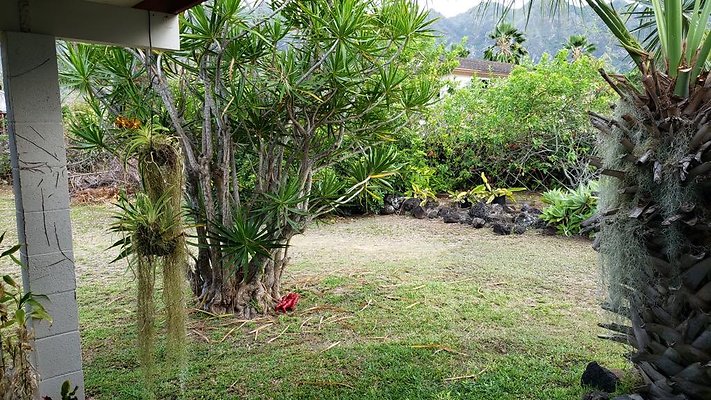 th 20190619 181730 th 20190619 181730