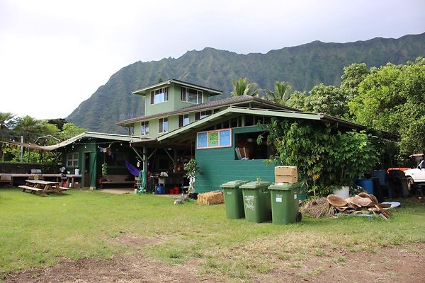 Waimanalo Green.Rows.Farm 41-756 Mahailua St Sean.Anderson 415.717.0309