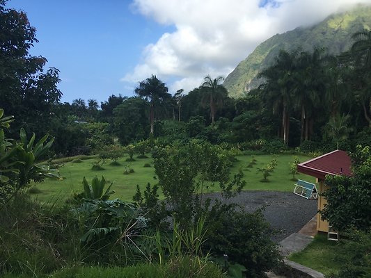 th IMG 7614 th IMG 7614