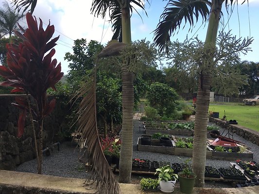 th IMG 7618 th IMG 7618