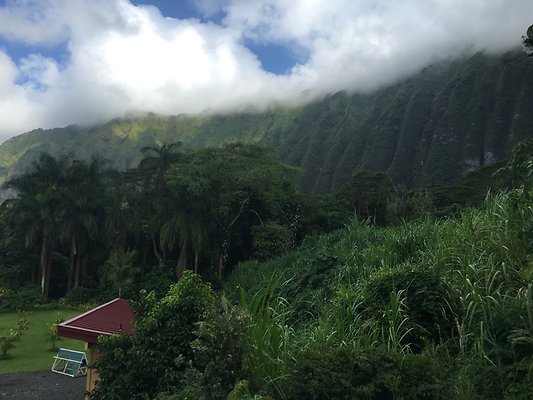 th IMG 7615 th IMG 7615