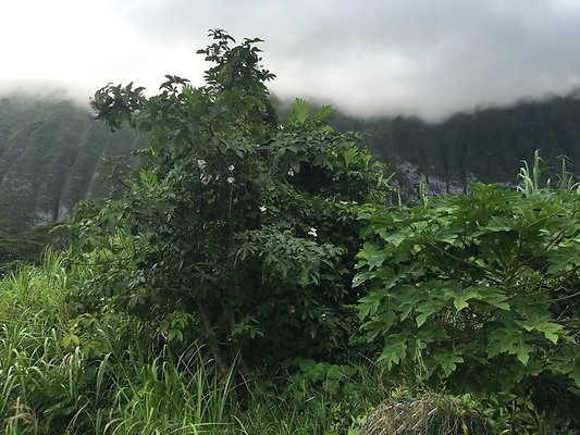 th IMG 7616 th IMG 7616