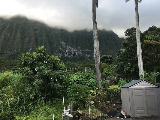 th IMG 7613 th IMG 7613