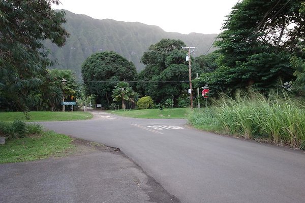 th DSC07983 th DSC07983