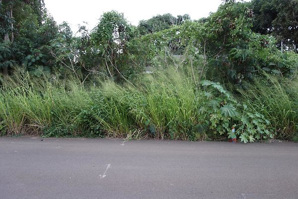 th DSC07984 th DSC07984