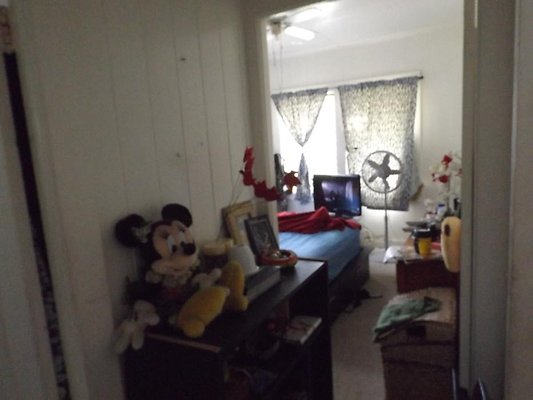 th 1738 Citron 19 th 1738 Citron 19