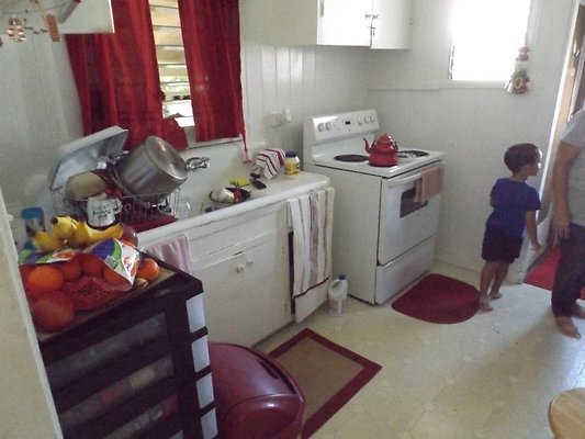 th 1738 Citron 4a th 1738 Citron 4a