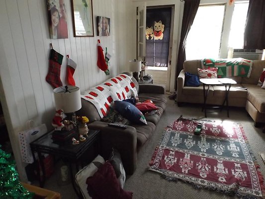 th 1738 Citron 16 th 1738 Citron 16