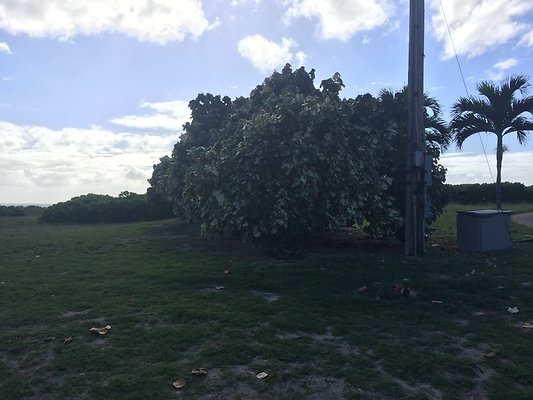 Kapolei White Plains MWR Protocol Beach House