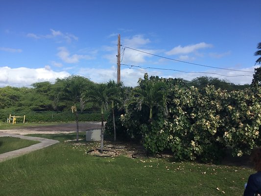 HI50 S6 2015-12-10 10.11.57 HI50 S6 2015-12-10 10.11.57