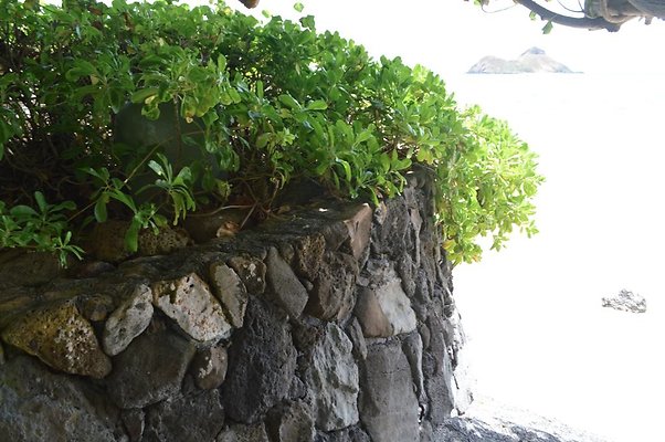 th DSC 0072 th DSC 0072