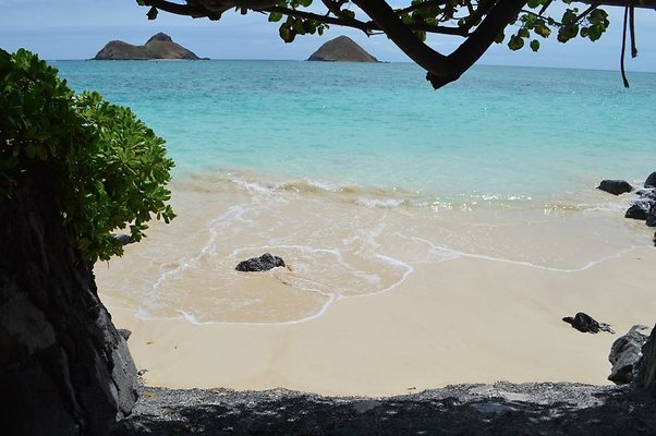 th DSC 0073 th DSC 0073