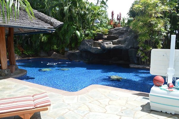 th DSC 0061 th DSC 0061